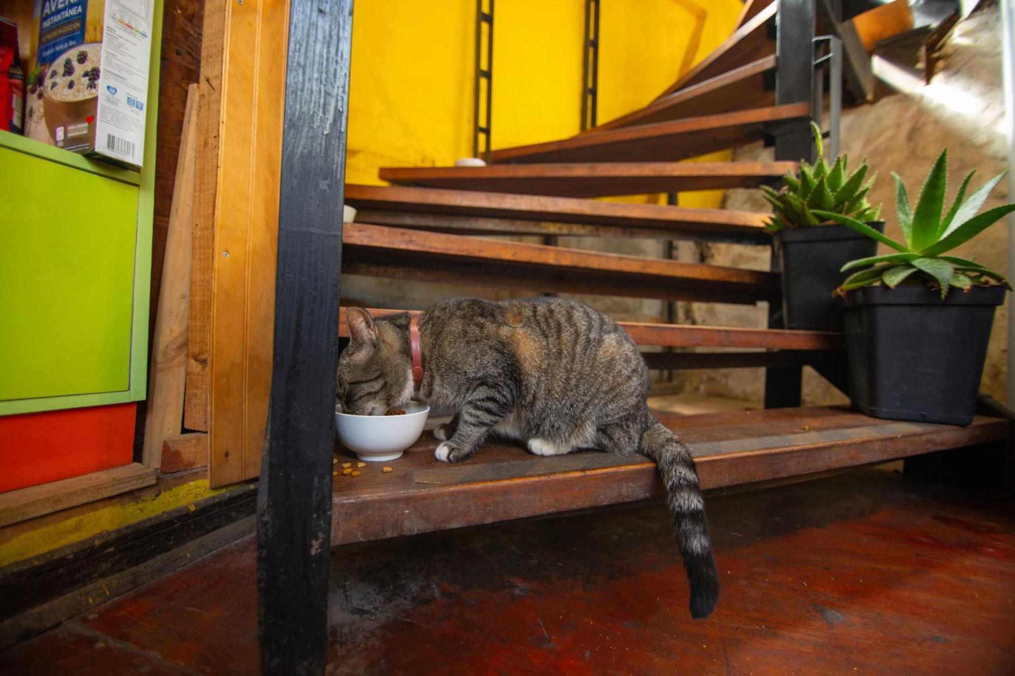 La Casa Del Puerto, Hostal Cultural, Cerro Alegre فالبارايسو المظهر الخارجي الصورة