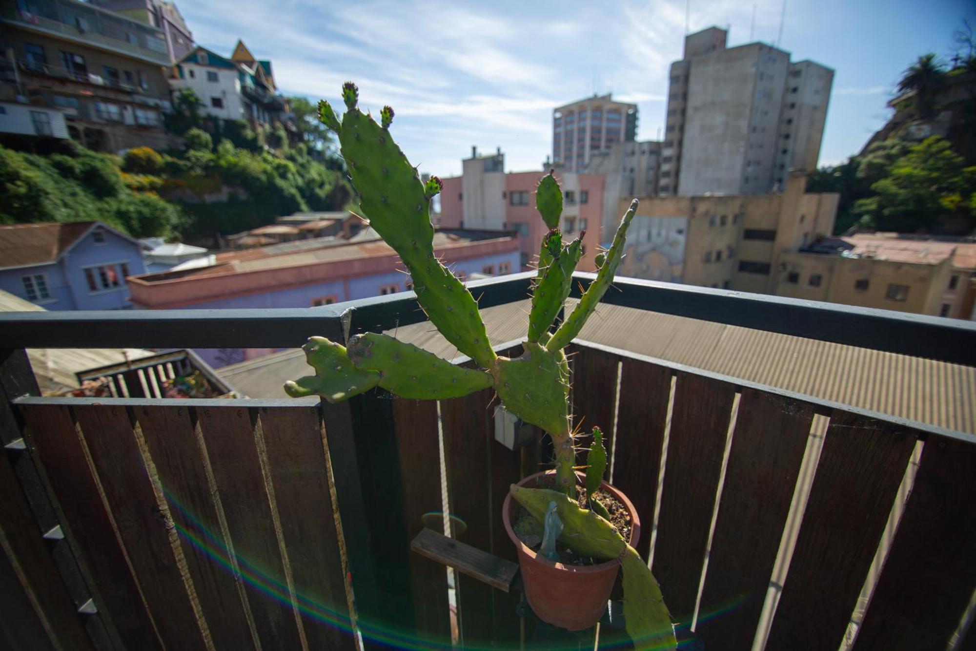 La Casa Del Puerto, Hostal Cultural, Cerro Alegre فالبارايسو المظهر الخارجي الصورة